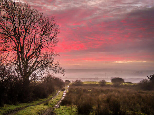 Ireland Poster featuring the photograph Sunrise over Decomade Pasture in County Clare by James Truett
