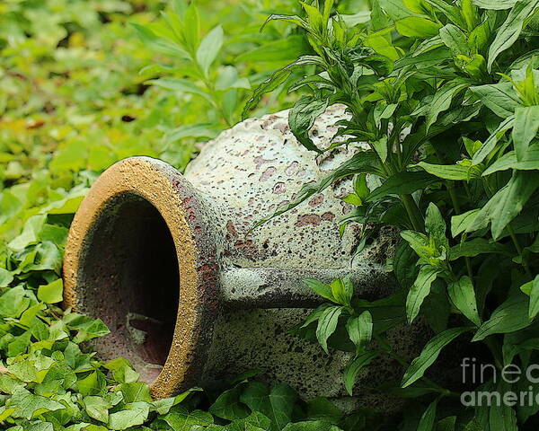 Nature Poster featuring the photograph Terracotta vase in the green by Amanda Mohler