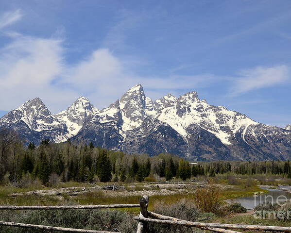Mountains Poster featuring the photograph Teton Majesty by Dorrene BrownButterfield