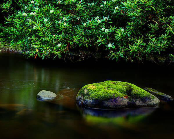 Quiet River Scene Poster featuring the photograph The Stream's Embrace by Michael Eingle