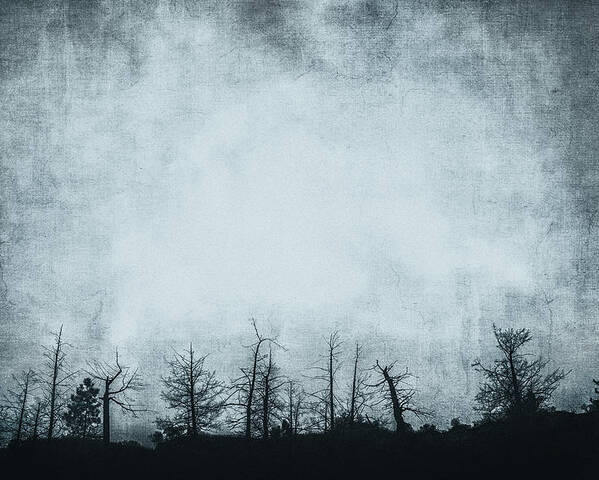 Grunge Poster featuring the photograph The Trees On The Ridge by Theresa Tahara