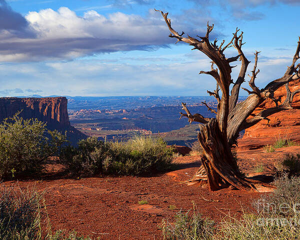Canyonlands Poster featuring the photograph The Watchman by Jim Garrison