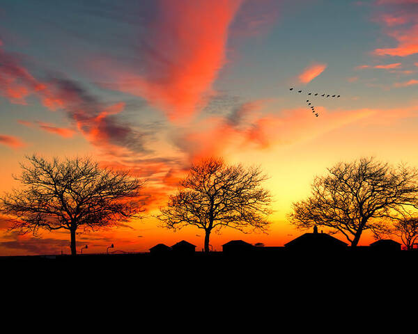 Sunset Poster featuring the photograph Three Trees In The Park by Cathy Kovarik