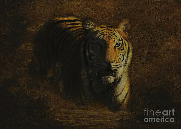 Tiger Poster featuring the photograph Tiger Art by Jayne Carney