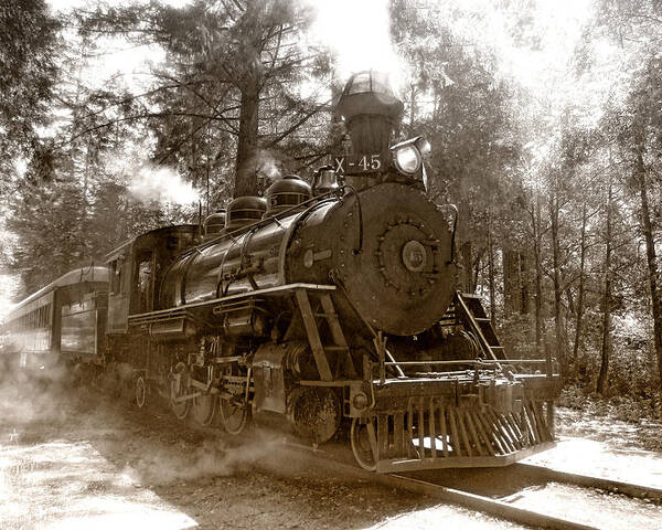 Locomotive Poster featuring the photograph Time Traveler by Donna Blackhall