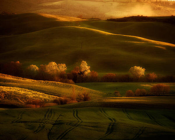 Toskany Poster featuring the photograph Golden fields of val d'Orcia by Jaroslaw Blaminsky