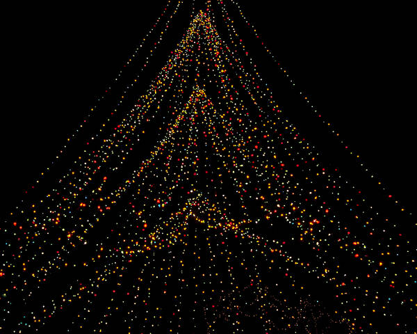 Christmas Poster featuring the photograph Tree of Lights by Christi Kraft
