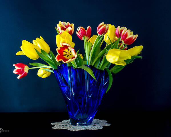 Tulips In Blue Poster featuring the photograph Tulips in Blue by Torbjorn Swenelius