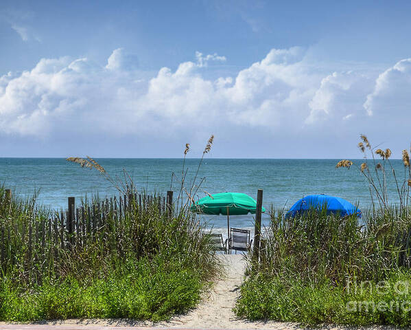Beach Poster featuring the photograph Umbrella Heaven by Kathy Baccari