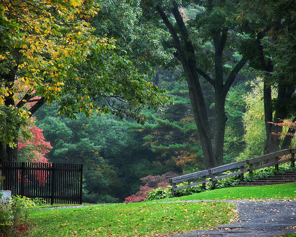 Fall Poster featuring the photograph Walk in the Park by Christina Rollo