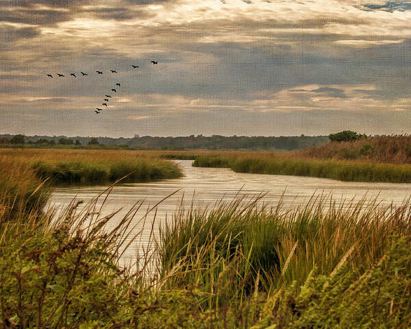 Marsh Poster featuring the photograph Wetlands in September by Cathy Kovarik
