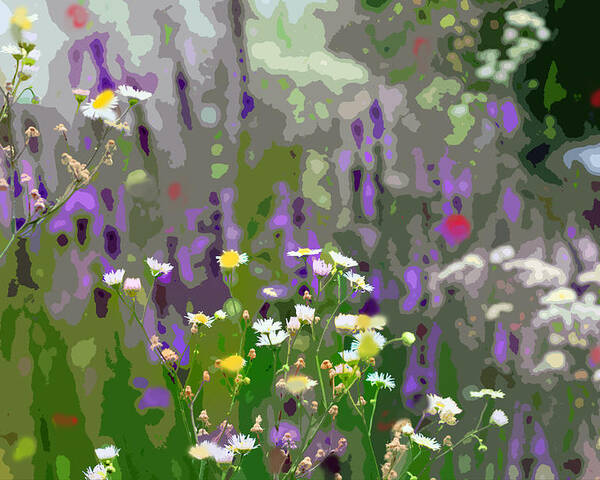 Wildflowers Poster featuring the photograph Wildflowers by Jackson Pearson