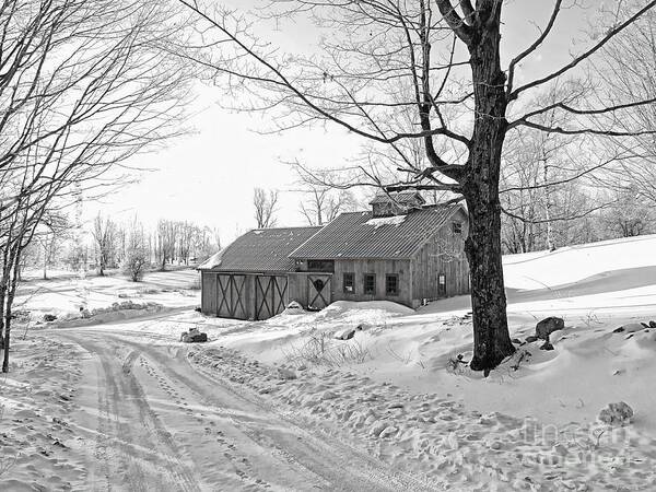Landscape Poster featuring the photograph Winter In Vermont by Marcia Lee Jones