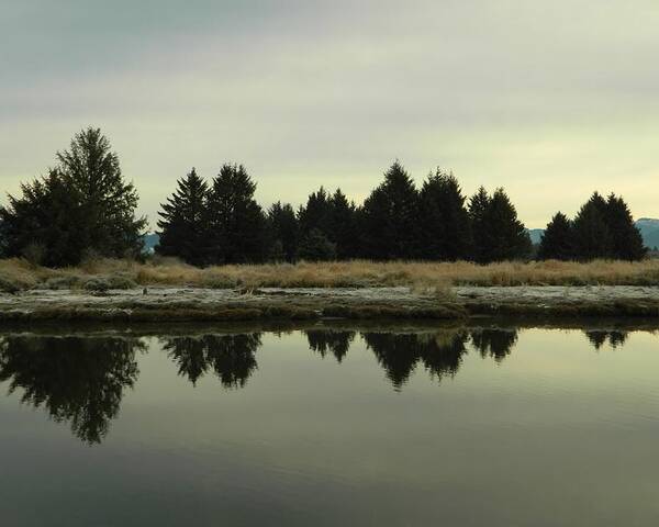 Landscape Poster featuring the photograph Winter River 7 by Gallery Of Hope 