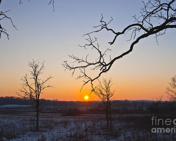 Winter Sunset Poster featuring the photograph Winter Sun Ornament by Dan Hefle