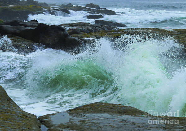 Seascape Poster featuring the photograph Winter Wave by Jeanette French