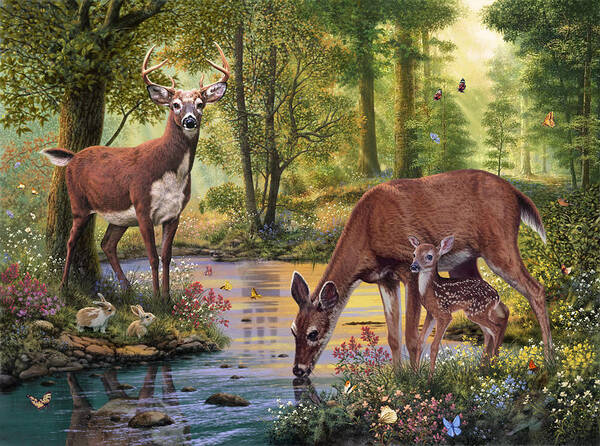 Woodland Stream Poster by MGL Meiklejohn Graphics Licensing - Fine Art  America