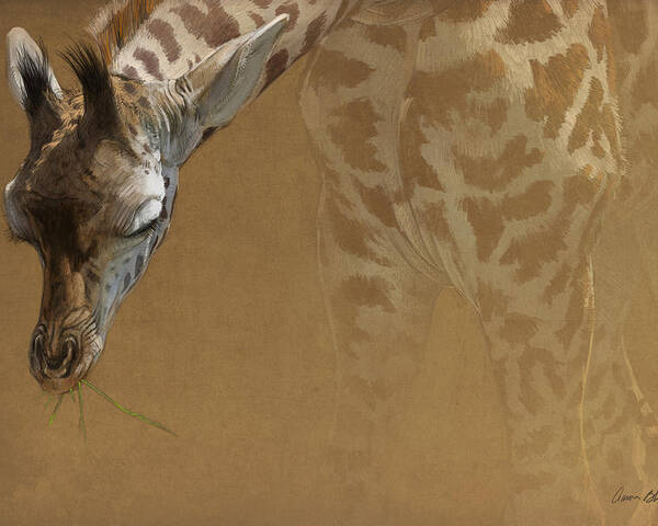Giraffe Poster featuring the digital art Young Giraffe by Aaron Blaise