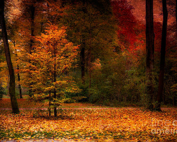 Autumn Poster featuring the photograph Youth by Hannes Cmarits