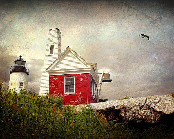  Poster featuring the photograph Pemaquid Light by Fred LeBlanc