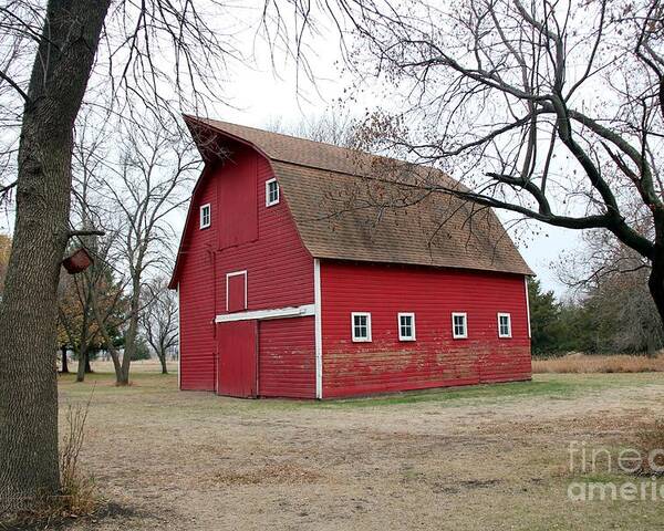 Barns Poster featuring the photograph Red Barn by Yumi Johnson
