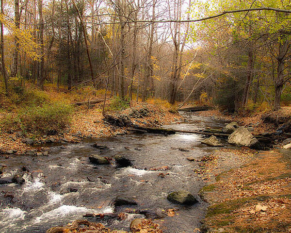 Stream Poster featuring the photograph Babbling Brook in Autumn by Cathy Kovarik