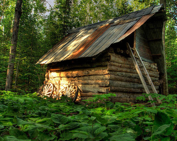 Bush Poster featuring the photograph Cabin in the Woods by Jakub Sisak