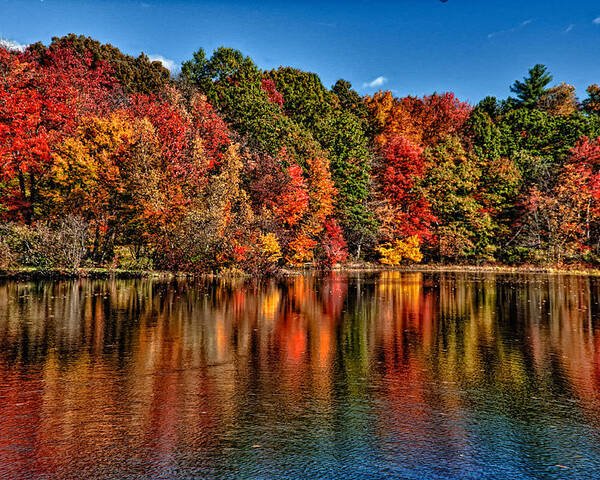 Landscapes Poster featuring the photograph Fall Reflections by Fred LeBlanc