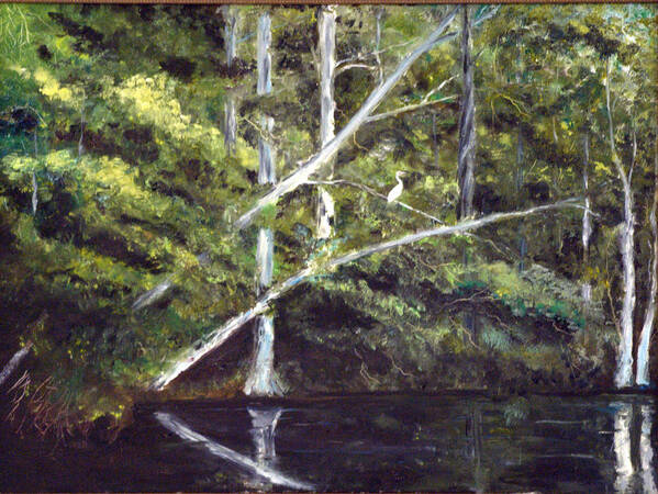 Jackson Bluff Poster featuring the painting Jackson Bluff on the Waccamaw River by Phil Burton