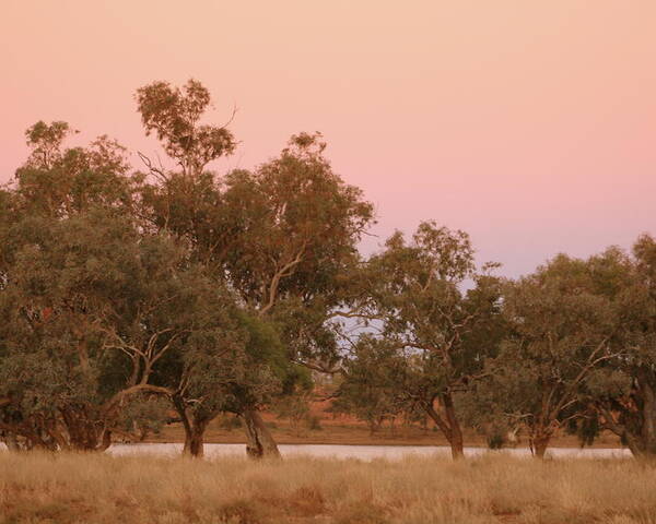 Landscape Poster featuring the photograph Outback Sky by Jan Lawnikanis