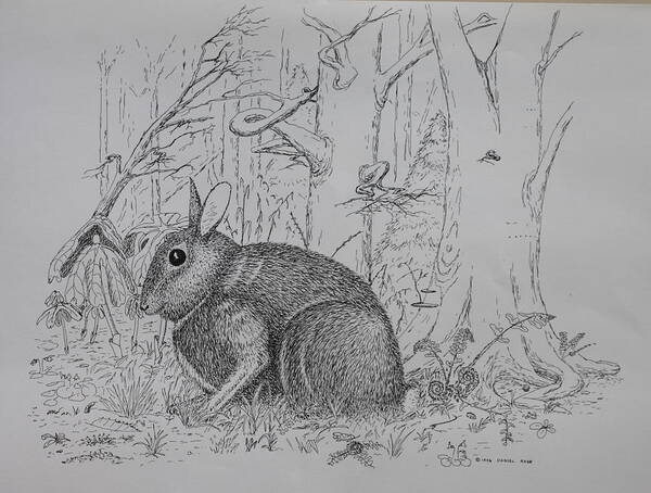 Nature Poster featuring the drawing Rabbit In Woodland by Daniel Reed