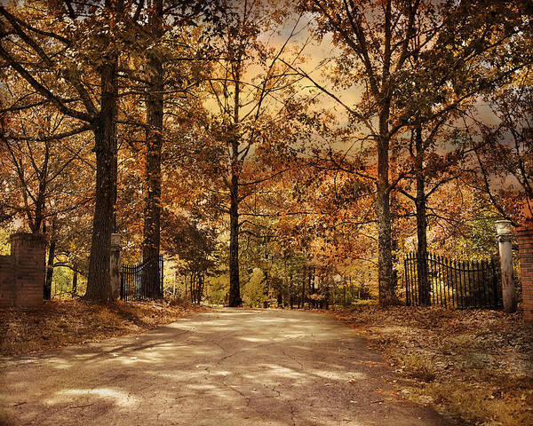 Autumn Poster featuring the photograph Secluded Entrance by Jai Johnson