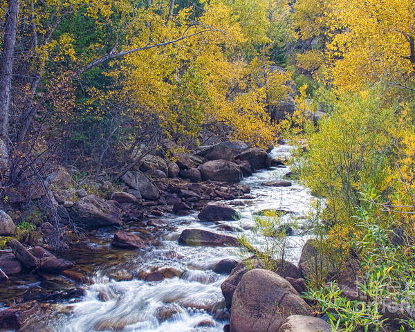 Autumn Poster featuring the photograph St Vrain Canyon and River Autumn Season Boulder County Colorado by James BO Insogna