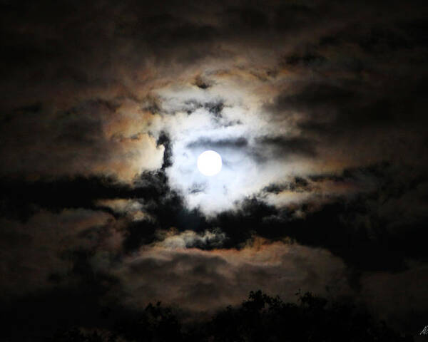 Full Moon Poster featuring the photograph Stormy Moon by Diana Haronis