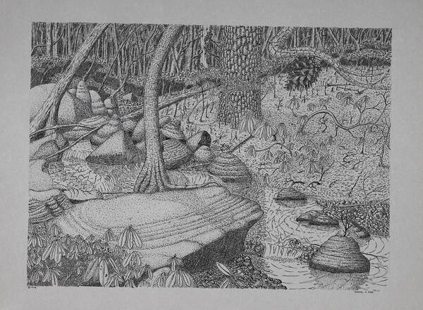 Nature Poster featuring the drawing Woodland Stream by Daniel Reed