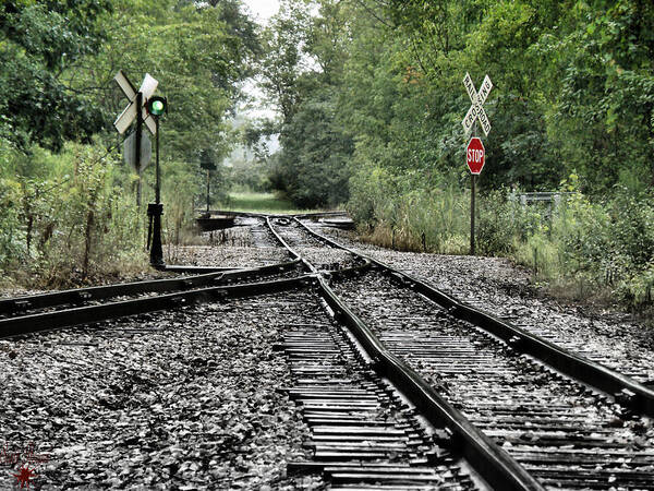 Coal Poster featuring the photograph Antique Railroad Track by Scott Hovind