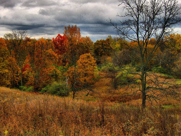 Hovind Poster featuring the photograph Fall Colors by Scott Hovind