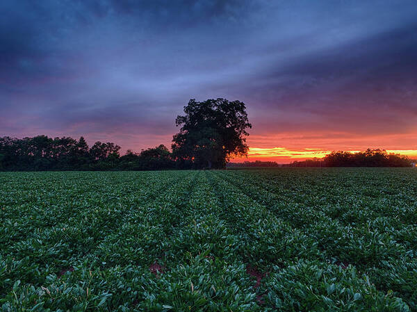 Farm Poster featuring the photograph Farm Sunset by Brad Boland