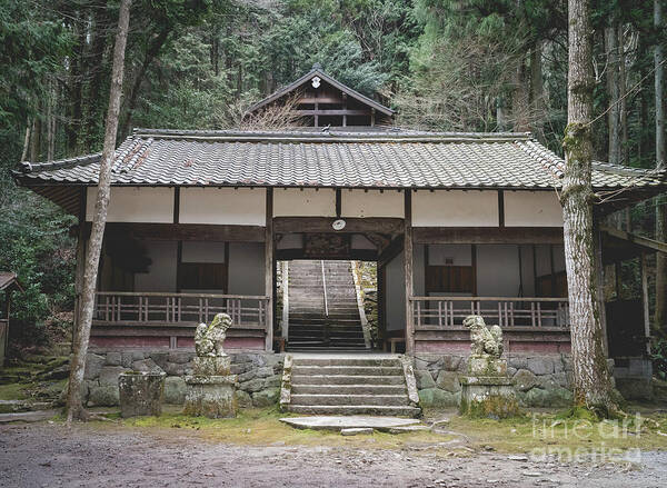 Shrine Poster featuring the photograph Forrest Shrine, Japan by Perry Rodriguez