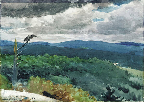 Winslow Homer Poster featuring the drawing Hilly Landscape by Winslow Homer