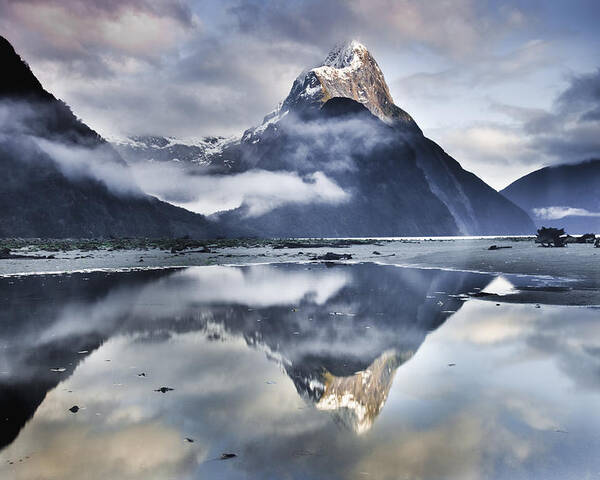 00438708 Poster featuring the photograph Mitre Peak Reflecting In Milford Sound by Colin Monteath