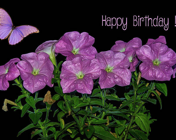 Flower Poster featuring the photograph Pink Petunia On Black by Cathy Kovarik