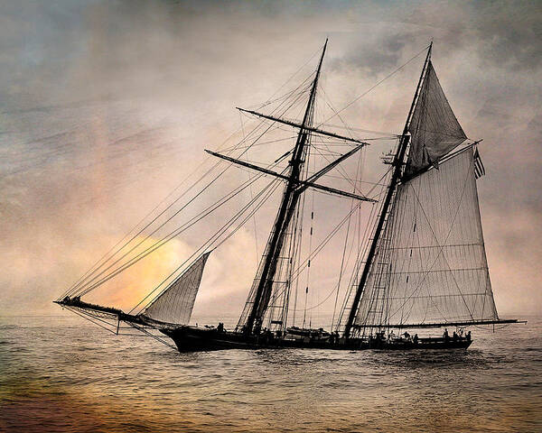 Textured Poster featuring the photograph Pride of Baltimore II by Fred LeBlanc