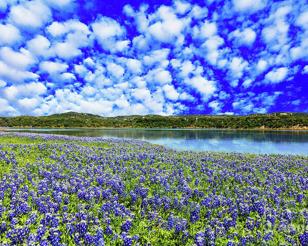 Austin Poster featuring the photograph Texas Hill Country by Raul Rodriguez