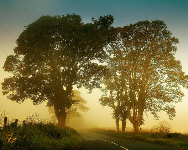 Scotland Poster featuring the photograph Twilight Guardians. Misty Roads of Scotland by Jenny Rainbow
