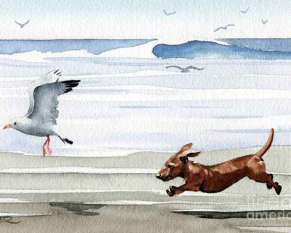 Dachshund Running Playing Seagull Beach Ocean Waves Shore Pet Dog Breed Canine Art Print Artwork Painting Watercolor Gift Gifts Picture Poster featuring the painting Dachshund at the Beach by David Rogers