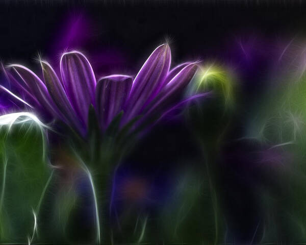 Abstract Poster featuring the photograph Purple Daisy by Stelios Kleanthous