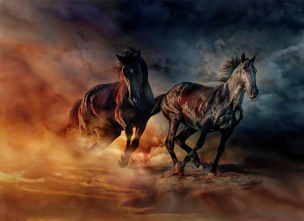 Horses Poster featuring the painting Two horses by Lilia D
