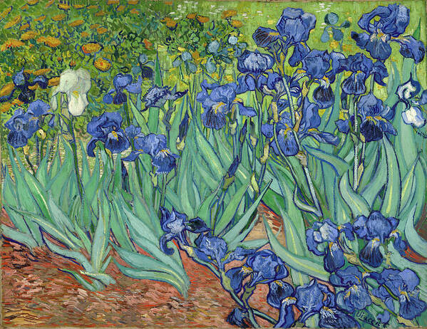 Irises Poster featuring the painting Irises by Vincent van Gogh