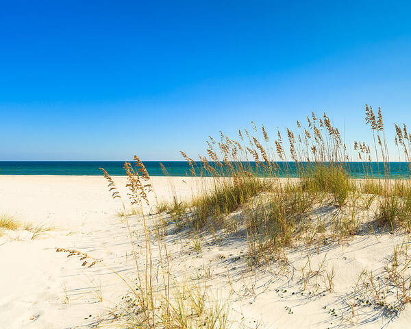 Florida Poster featuring the photograph Beautiful Beach by Raul Rodriguez